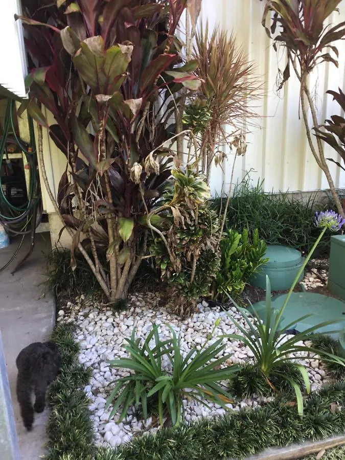 Bed and Breakfast Beerwah Retreat 0*,